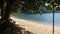 Almond tree shadowing a beach