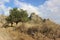 Almond trees autumn sky geological formation rocky