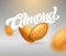 ALMOND typography with realistic illustration of almonds. Modern brush calligraphy. 3d illustration. Template for packaging design