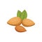 Almond vector icon nuts in cartoon style. Nut food collection.