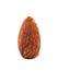 Almond on white background