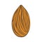 Almonds are edible seed kernels or the seeds of the plant of the same name.