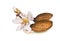 Almonds flowers seed isolated in white for background
