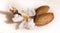 Almonds flowers seed isolated in white for background