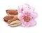 Almonds kernel with pink flowers