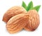 Almonds with leaves isolated.