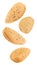 Almonds nuts no split, four pieces soaring, falling, flying isolated on white background with clipping path. Set of parts. Full