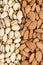 Almonds and pistachios background vertical