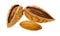 Almonds shell with clipping path