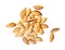 Almonds shell with clipping path