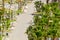 ALMUNECAR, SPAIN - MAY 17, 2022 View from above on the Paseo San Cristobal promenade in the coastal town of Almunecar in the