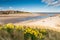 Alnmouth beach in spring