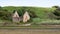 ALNMOUTH NORTHUMBERLAND/UK - AUGUST 14 : Ruins of Mortuary Chapel on the West Side of Church Hill in Alnmouth Northumberland on A