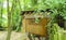 Alnwick wooden Treehouse, green trees, Alnwick Garden, in the English county of Northumberland