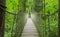 Alnwick wooden Treehouse, wooden and rope bridge, Alnwick Garden, in the English county of Northumberland