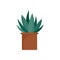 Aloe cactus pot icon, flat style