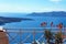 Aloe flowers on the terrace. Beautiful views of the sea and islands. Sunset. Greek travel. Santorini, Greece