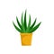 Aloe indoor plant icon, flat style