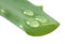 Aloe leaf