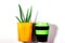 Aloe Vera cactus plant in orange pot and reusable black coffee cup with green lid on white background
