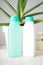 Aloe vera and composition of body care on a gray background, close-up. Vertically