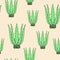 Aloe vera flower pot on yellow background. Graphic image. Nice picture. Gift wrap. Vector illustration