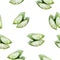 Aloe vera hand drawn watercolor illustration. Seamless pattern.