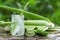 aloe vera juice in glass on stone