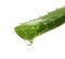 Aloe vera leaf with dripping juice on white background