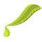 Aloe vera leaf with a drop of juice. Ingredient for Cosmetic Products, printing and web.