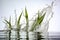 Aloe vera leaves slpashing in water, freeze with extreme fast shutter speed, macro closeup at white background, AI