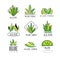 Aloe Vera logo design set, natural product green badges, organic cosmetics, health care and beauty label vector