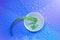 Aloe Vera medicinal plant pieces cut blue background water drop background