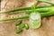 Aloe Vera plant sliced in glass on Coconut fiber