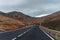 Aloe vera plantation, cultivation of healthy plants for medicine, cosmetics, skin care, decoration, Fuerteventura, Canary Islands