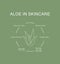 Aloe vera in skincare routine benefits.