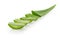 Aloe vera sliced plant isolated white background