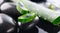 Aloe Vera slices and spa stones closeup on black background. Aloevera plant leaf gel, natural organic renewal cosmetics