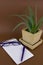 aloe vera succulent plant in potted in concrete pot, glasses,pen and opened notebook with empty sheet