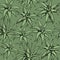 Aloe vera vector seamless pattern. Hand drawn graphic plants with black contour on green background. Vintage succulent