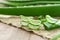 Aloe Vera very useful herbal medicine for skin treatment and use in spa for skin care. herb in nature