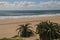 Aloes Growing on Dunes as Part of Rehabilition Process