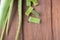 Aloevera fresh leaf on wood background