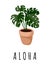 Aloha banner. Monstera potted succulent plant postcard. Cozy lagom scandinavian style poster