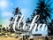 Aloha calligraphy lettering on bright background with sun, sky and silhouettes of palm trees. Summer holidays banner. Hand written