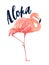 Aloha flamingo illustration. Style Isolated on White Background.