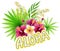 Aloha Hawaii greeting. Hand drawn watercolor painting with Chinese Hibiscus rose flowers and palm leaf isolated on white