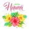 Aloha Hawaii, hand written vector lettering with bouquet of exotic flower