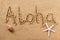 Aloha Hawaii handwritten beach sand greeting message