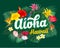 Aloha Hawaii lettering and tropical plants